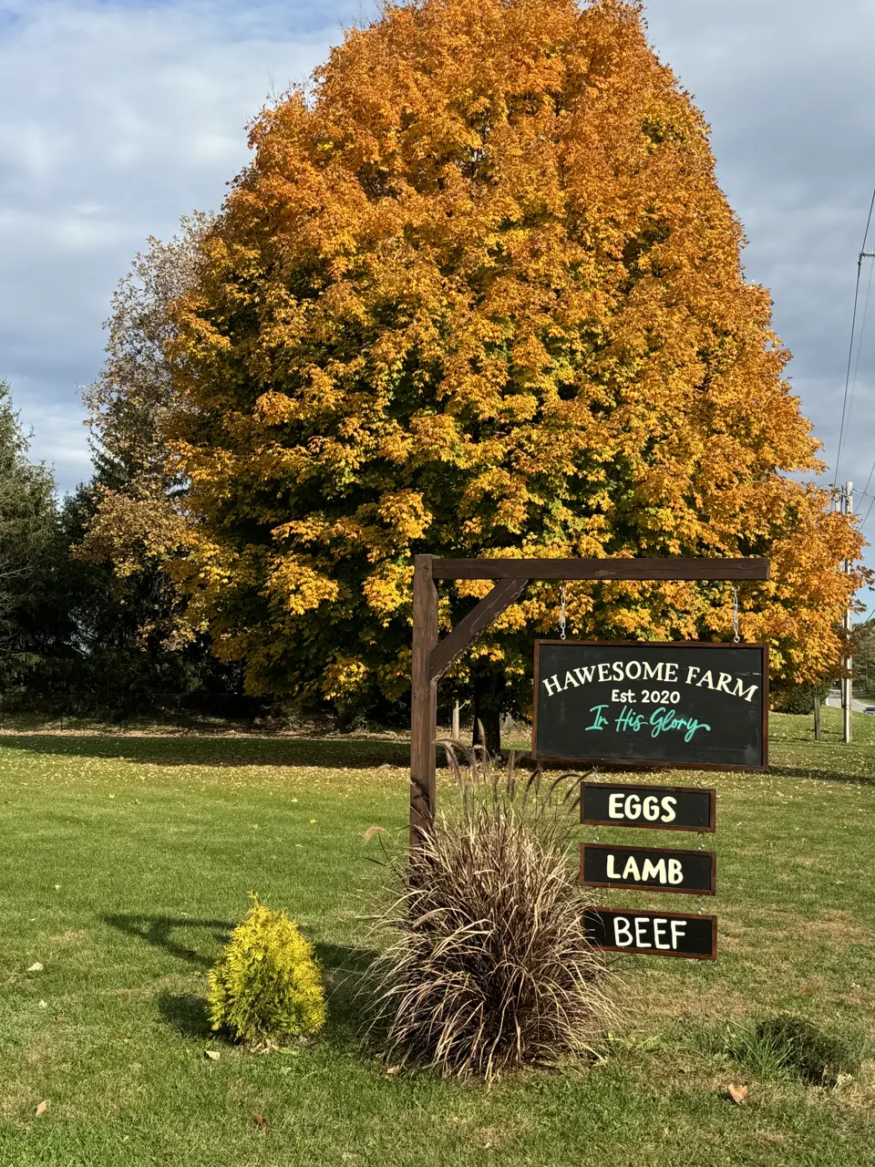 Campers at Hawesome Farm fall break camp