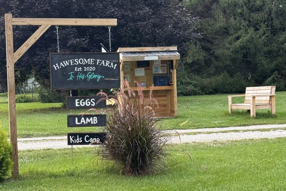 Hawesome Farm roadside sign with Eggs, Lamb and Kids Camp boards beside the self-service wooden farm stand