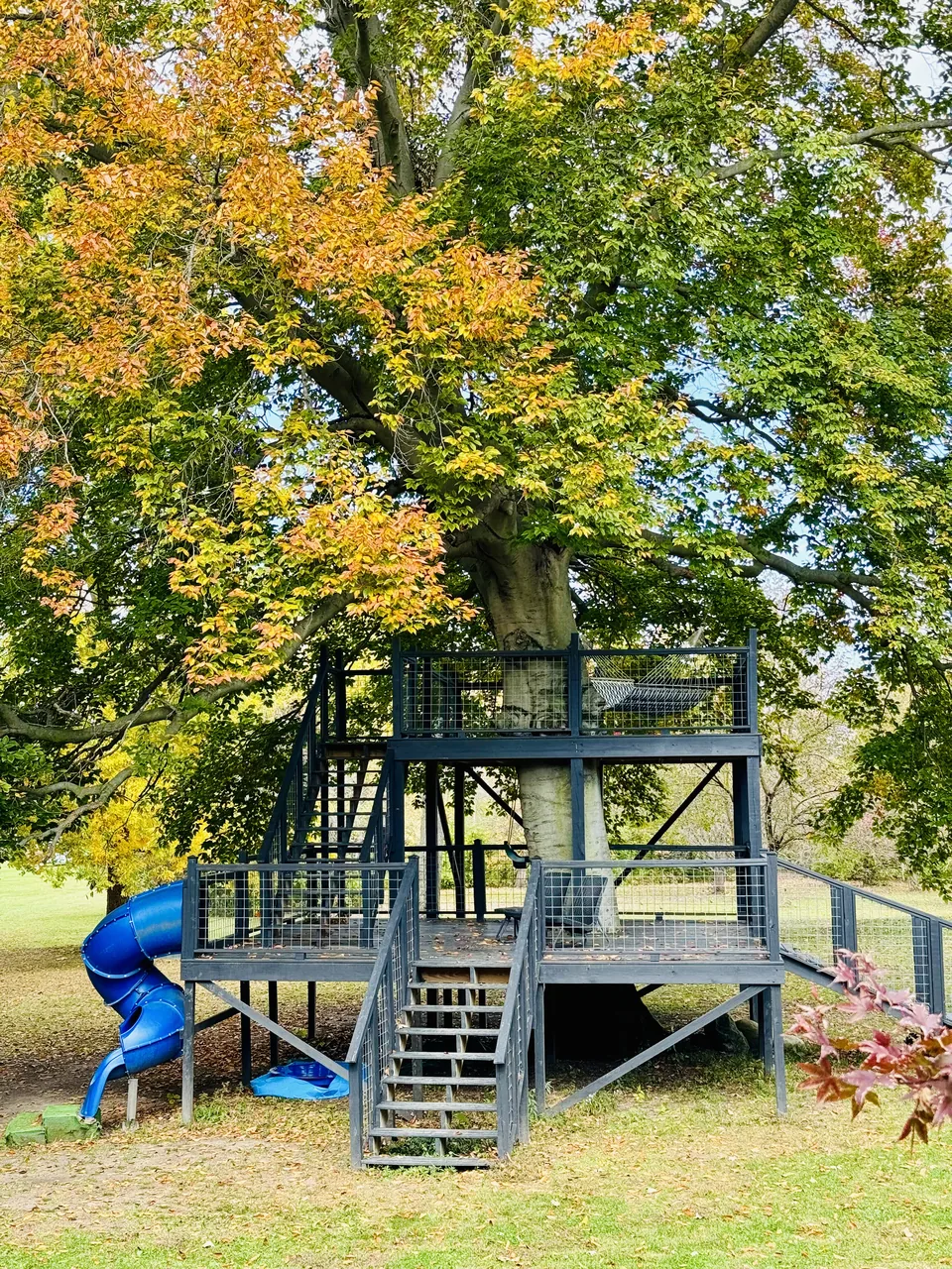 Fall color over the farm play tower and slide