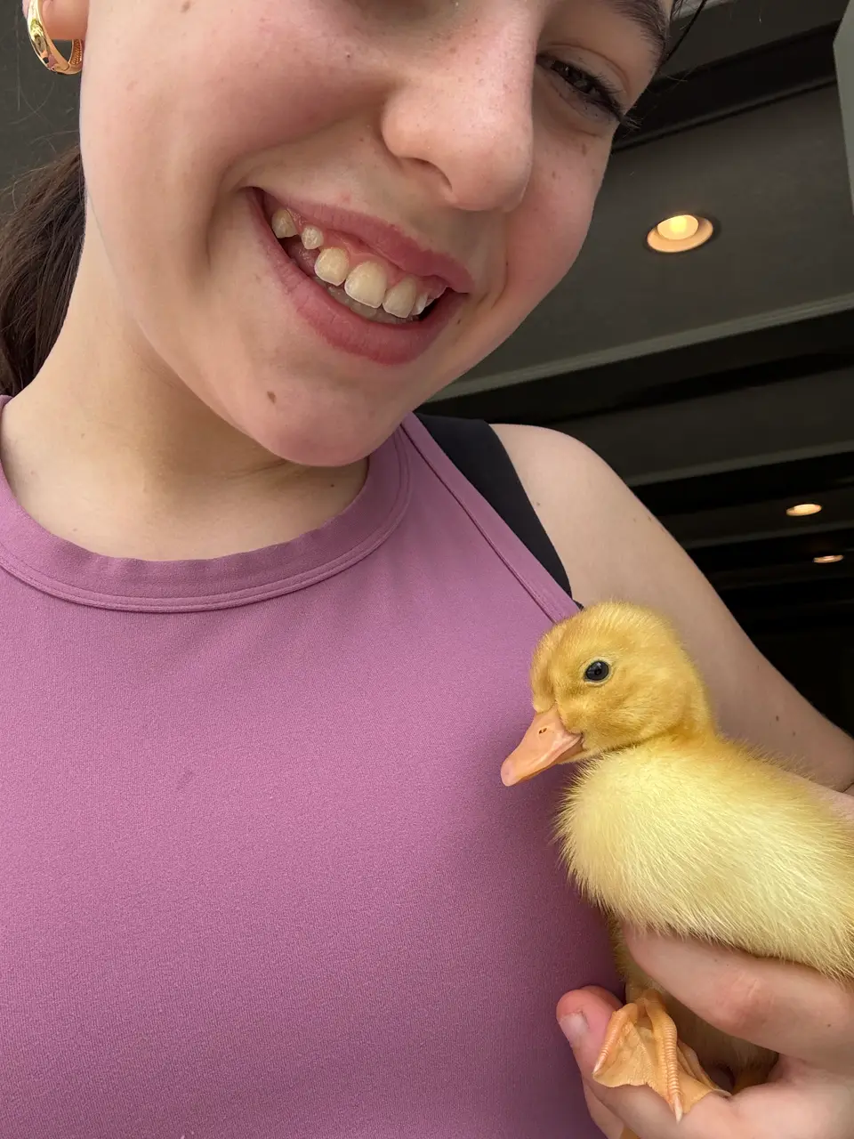 Holding a fluffy duckling